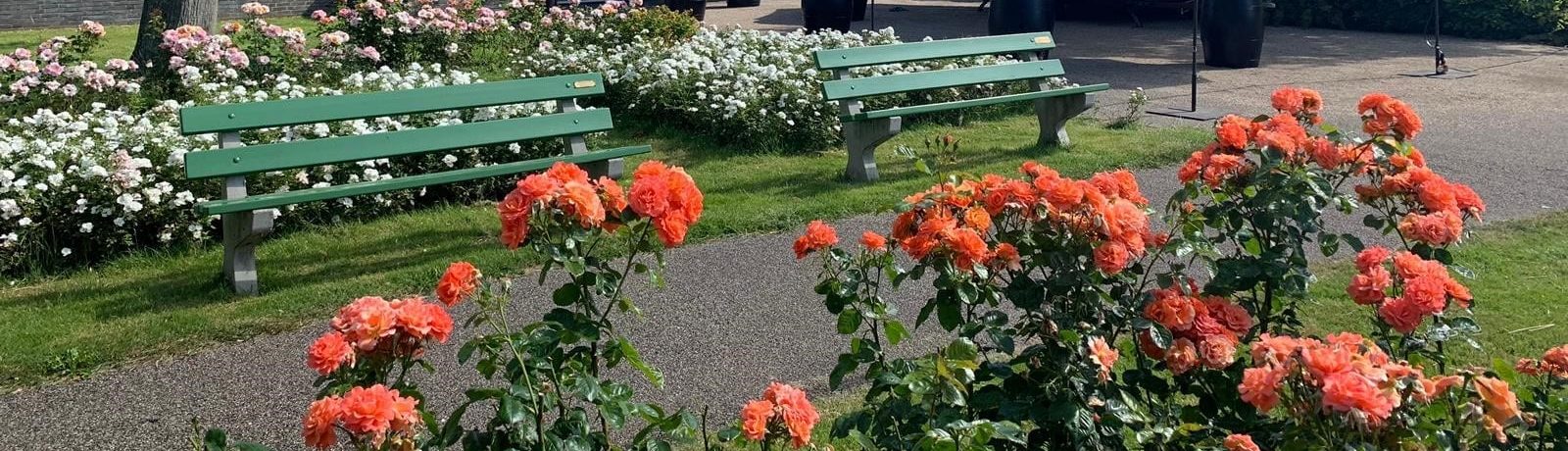 Borrelkar vanuit Rosarium